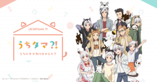 TVアニメ「うちタマ⁈ ～うちのタマ知りませんか？～」公式サイトの画像